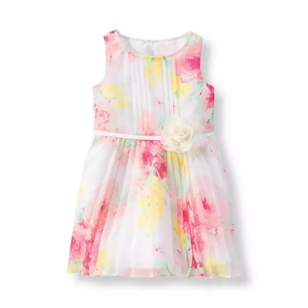 Janie and Jack Rose Print Chiffon Dress 2T